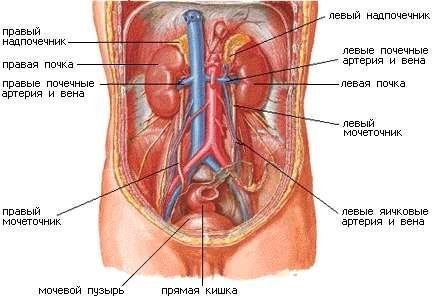 Три года спустя. Автор: Марина Ганаева. 134408808_5970207_000196