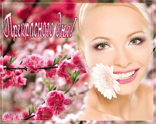 3470549_den_pre (650x519, 372Kb)