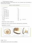  Page_00009 (516x700, 141Kb)