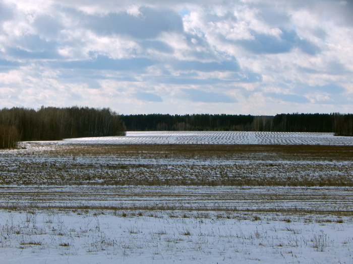 3 (700x525, 422Kb)