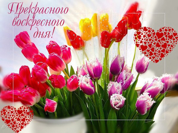Открытка удачного воскресного дня 36