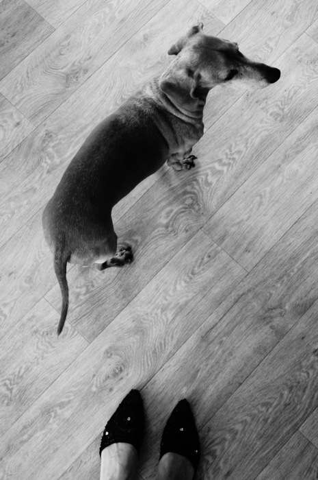 DSC00945 (465x700, 98Kb)