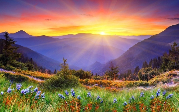 image_562507131103023749421 (600x375, 203Kb)