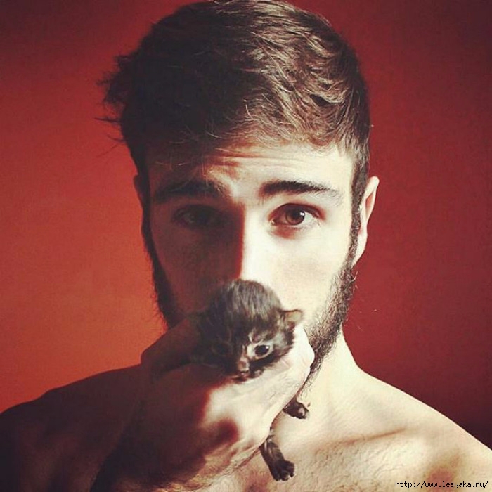 hot-dudes-kitten-09 (700x700, 236Kb)