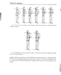  Page222 (570x700, 124Kb)