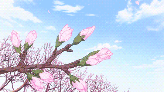 image_861912151125477632447 (540x304, 1987Kb)
