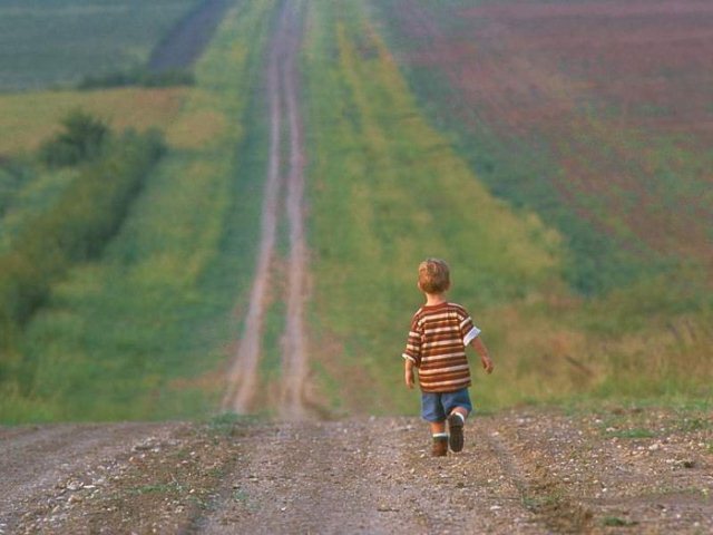 mini-3 (640x480, 53Kb)