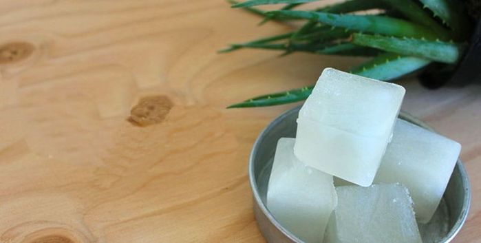 5710130_Kybiki_s_aloe_ot_solnechnih_ojogov (700x353, 24Kb)