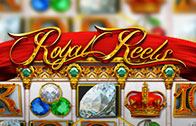 Royal-Reels (196x126, 16Kb)
