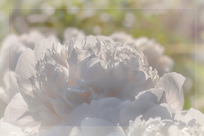 6108242_vesna_3 (700x466, 146Kb)