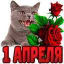 image (128x128, 12Kb)