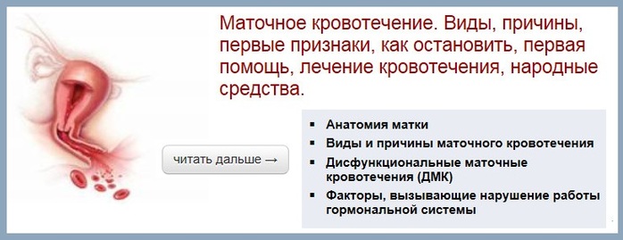 Девясил - лечебные свойства и противопоказания волшебного корня Cached