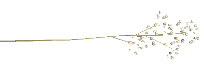 mailservice (4) (422x145, 4Kb)