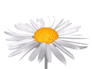 5043950_020763 (133x100, 35Kb)