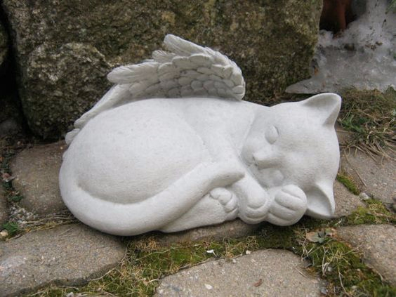 Магия на кошках Магия на кошках
