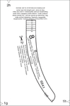  Page9 (463x700, 80Kb)