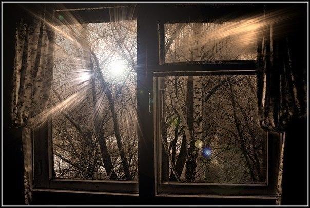 6120542_sOGtKeSDPfU (604x406, 52Kb)