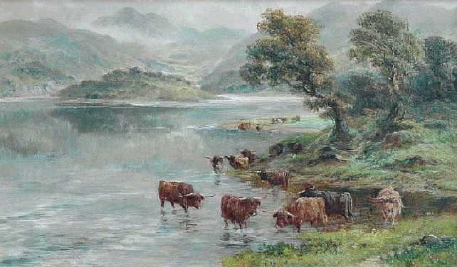 Highland cattle (642x376, 301Kb)