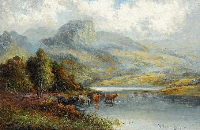 Highland cattle in Lakeland landscape (653x426, 348Kb)