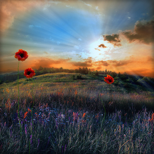 tumblr_l35ujadyr41qbit7wo1_500 (500x500, 147Kb)