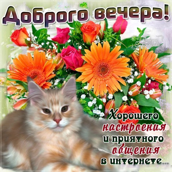 Открытки прекрасного вечера и настроения 35
