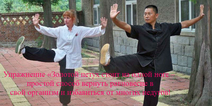 alt="Упражнение от всех болезней – всего 10 минут в день и в жизни баланс."/2835299_Zolotoi_petyh_na_odnoi_noge (700x350, 72Kb)