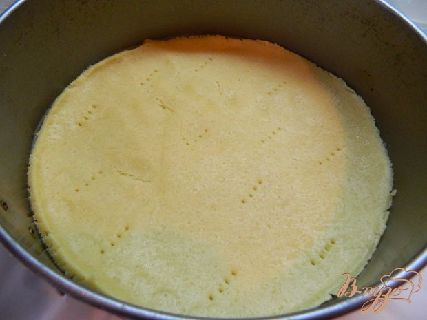Рецепт йогуртового торта с киви (8) (620x465, 208Kb)