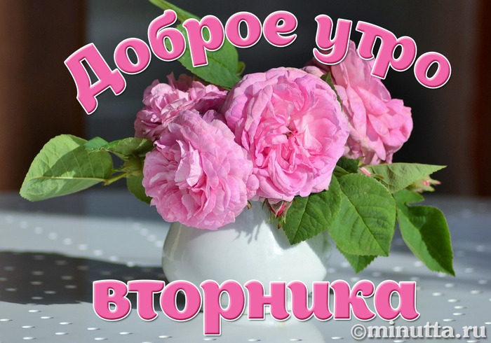 есть, прикольные картинки со вторником может содержать слоев