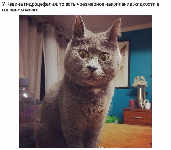 6 (700x614, 313Kb)