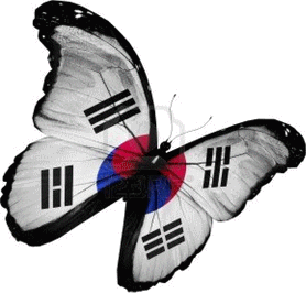 14491021-south-korea-flag-butterfly-flying-isolated-on-white-background (278x266, 24Kb)