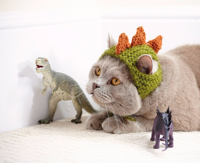 Cats_In_Hats_07 (700x572, 314Kb)