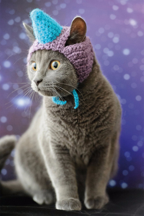 Cats_In_Hats_02 (466x700, 313Kb)