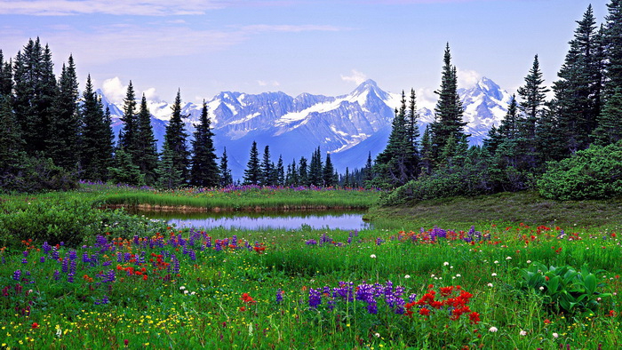 1 (323) (700x394, 483Kb)