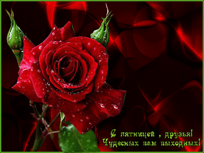 3470549_ (700x525, 2217Kb)