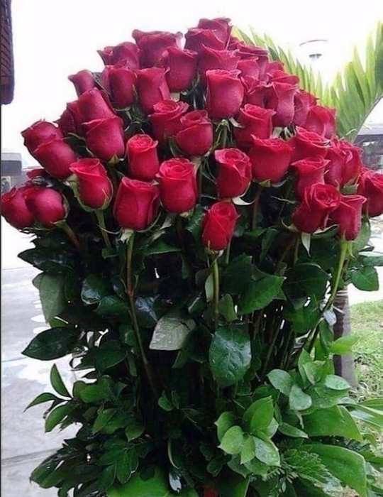 image (22) (540x700, 386Kb)