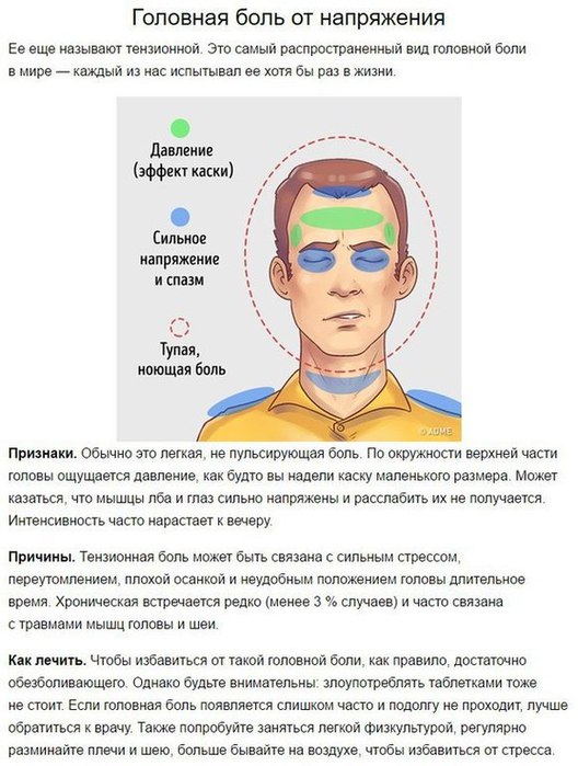 1259869_qLJvAAqi8XQ (528x700, 88Kb)