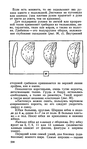  Page208 (407x700, 209Kb)