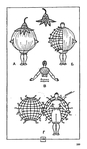  Page289 (408x700, 136Kb)