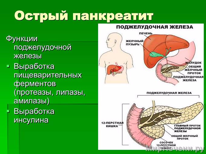 жееза (680x510, 297Kb)