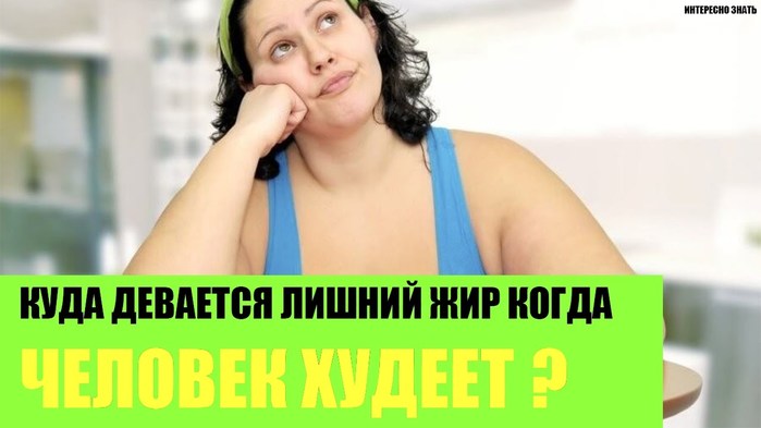 5640974_maxresdefault (700x393, 44Kb)