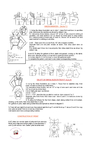  Page_00079 (424x700, 181Kb)