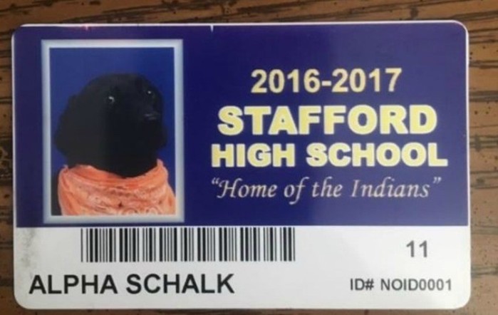 Как портрет собаки попал в выпускной альбом школьников?