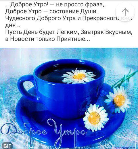 Высказывания с добрым утро Высказывания с добрым утро