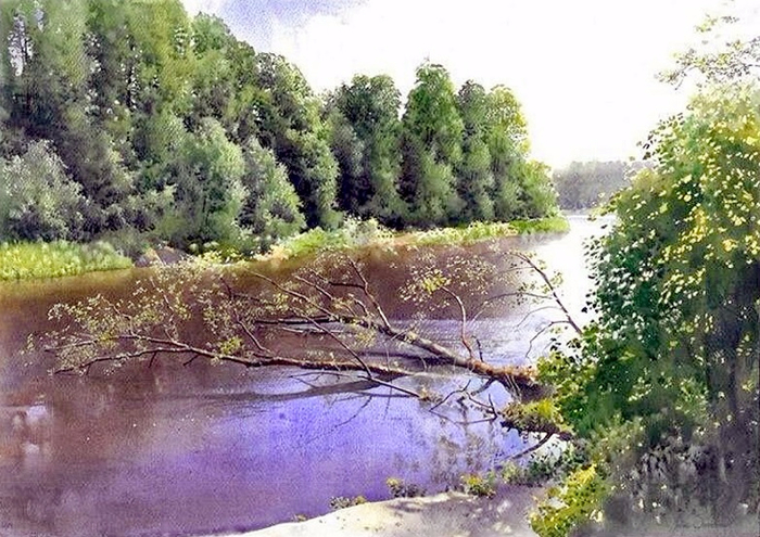 Summertime at Liwiec river (700x495, 424Kb)