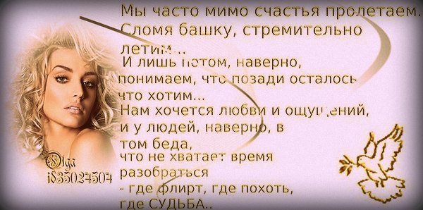 Стих осталось лето позади Стих осталось лето позади