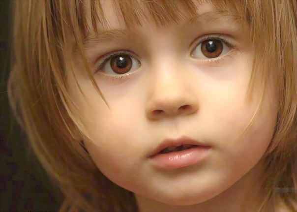 6120542_427 (604x431, 36Kb)