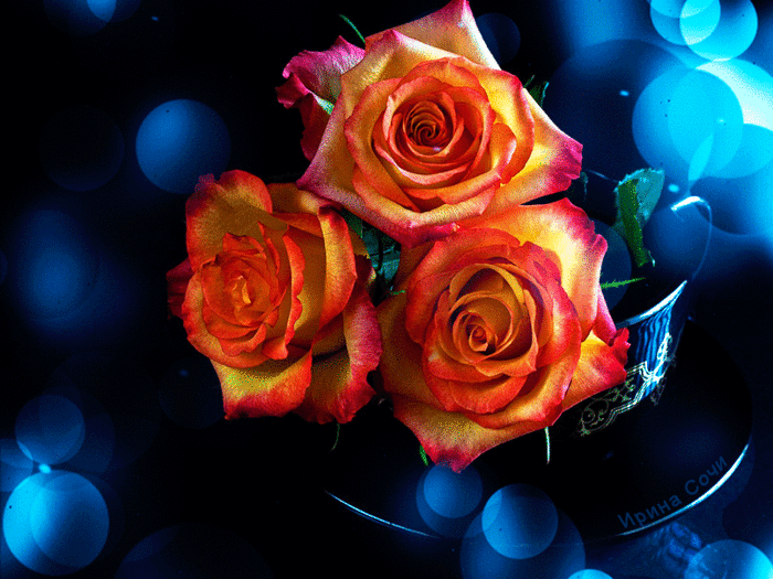 0_191138_5cbc1ce4_orig (700x525, 11677Kb)