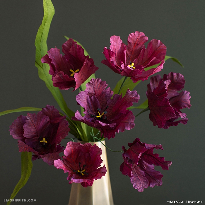 Crepe_Paper_Parrot_Tulips (700x700, 326Kb)