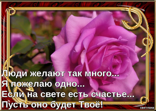Музыкальная открытка С Днем рождения Доченька Материал по теме: Предметная неделя по окружающему миру