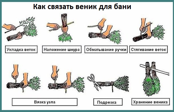 До кого числа можно вязать веники До кого числа можно вязать веники